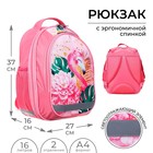 Рюкзак школьный, 37 х 27 х 16 см, эргономичная спинка, Calligrata Б "Фламинго" - фото 9227709