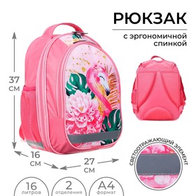 Рюкзак школьный, 37 х 27 х 16 см, эргономичная спинка, Calligrata Б 'Фламинго' Ош