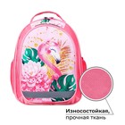 Рюкзак школьный, 37 х 27 х 16 см, эргономичная спинка, Calligrata Б "Фламинго" - Фото 2
