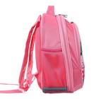 Рюкзак школьный, 37 х 27 х 16 см, эргономичная спинка, Calligrata Б "Фламинго" - Фото 14