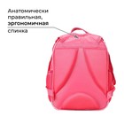 Рюкзак школьный, 37 х 27 х 16 см, эргономичная спинка, Calligrata Б "Фламинго" - Фото 3