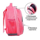 Рюкзак школьный, 37 х 27 х 16 см, эргономичная спинка, Calligrata Б "Фламинго" - Фото 4