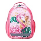 Рюкзак школьный, 37 х 27 х 16 см, эргономичная спинка, Calligrata Б "Фламинго" - Фото 7