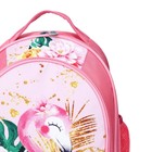Рюкзак школьный, 37 х 27 х 16 см, эргономичная спинка, Calligrata Б "Фламинго" - Фото 9