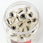 Мяч каучуковый, попрыгунчик «Открой superспособности», в банке, 80 шт., цвета МИКС - Фото 5