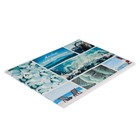 Альбом для рисования А4, 40 листов на скрепке "Морской микс", обложка мелованный картон, внутренний блок офсет 100 г/м² - Фото 3