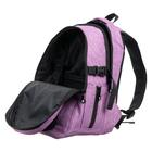 Рюкзак школьный с эргономичной спинкой Stavia, 40 х 30 х 13 см, для девочки "Котик" - Фото 8