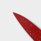 Нож с антиналипающим покрытием Доляна «Зефир», для овощей, лезвие 9 см, цвет красный - фото 4323425