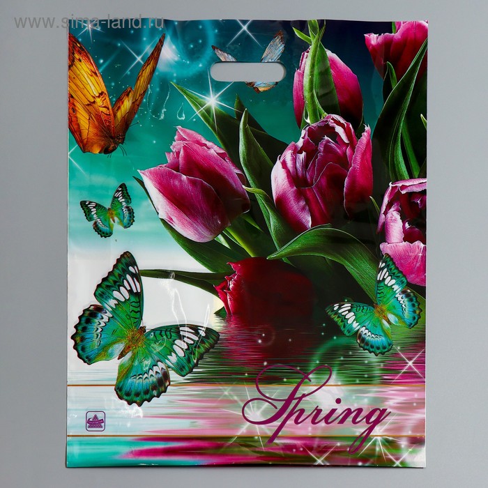 Пакет "Весна - Волшебница" полиэтиленовый, с вырубной ручкой, 38 х 45 см, 60 мкм - Фото 1