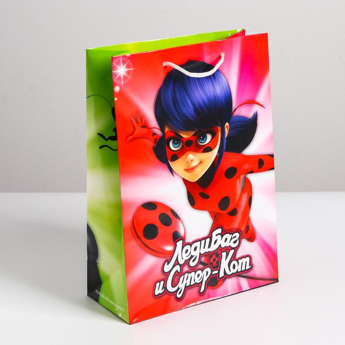 Пакет бумажный подарочный «Леди Баг и Супер-кот», 31х22х10 см, МИКС - Фото 1