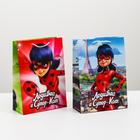 Пакет бумажный подарочный «Леди Баг и Супер-кот», 31х22х10 см, МИКС - Фото 2