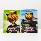 Пакет бумажный подарочный «Леди Баг и Супер-кот», 31х22х10 см, МИКС - Фото 3