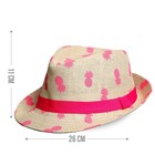 Детская панама «Ананасы» р-р. 52-54 см - фото 51060267