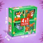 Пазлы 4 в 1 «Лесные жители», 4, 6, 9, 12 элементов - Фото 4