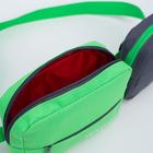 Сумка детская поясная на молнии, наружный карман, цвет зелёный/серый - Фото 5