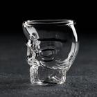 Стопка стеклянная с двойными стенками Magistro «Череп. Хэллоуин», 75 мл - Фото 1