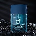 Туалетная вода мужская с феромонами Lovelas Aqua, 100 мл (по мотивам Acqua Di Gio (G.Armani) - Фото 2