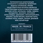 Туалетная вода мужская с феромонами Lovelas Aqua, 100 мл (по мотивам Acqua Di Gio (G.Armani) - Фото 3