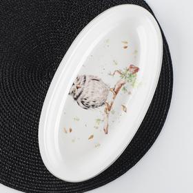 Блюдо овальное Доляна «Совушка», 28,2×14,5×3,5 см, цвет белый