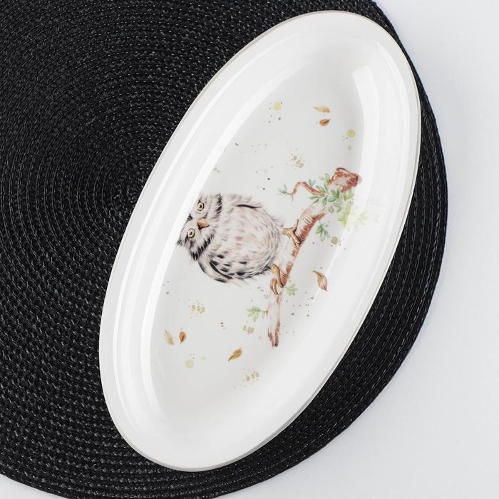 Блюдо овальное Доляна «Совушка», 28,2×14,5×3,5 см, цвет белый - Фото 1