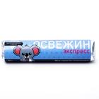 Леденцы в тубусе «Освежин экспресс», 32 г - Фото 3