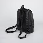 Рюкзак, отдел на молнии, наружный карман, цвет чёрный - Фото 2