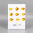 Папка для семейных документов «Docs», 8 файлов А4 5365342 - фото 12488086