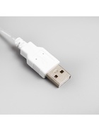 Гирлянда «Конский хвост» 8 нитей по 2 м, IP20, серебристая нить, 160 LED, свечение тёплое белое, USB - фото 6927707