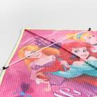 Воздушный змей «Мечтай», Принцессы, 70×105 см - Фото 4