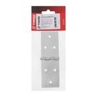 Петля карточная ТУНДРА, 128х40 мм, покрытие цинк 1 шт. (комплект 2 шт) - фото 21247601