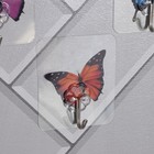 Крючок на липучке «Бабочки», 4 шт, цвет и рисунок МИКС - Фото 3
