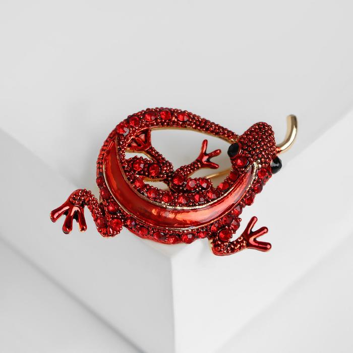 Брошь «Ящер», цвет бордовый в золоте - Фото 1