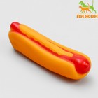 Игрушка пищащая "Хотдог" для собак, 13,5 см - фото 3166503