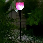 Садовый светильник на солнечной батарее «Тюльпан розовый», 4.5 × 29 × 4.5 см, 1 LED, свечение белое - Фото 2