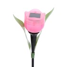 Садовый светильник на солнечной батарее «Тюльпан розовый», 4.5 × 29 × 4.5 см, 1 LED, свечение белое - фото 8972754