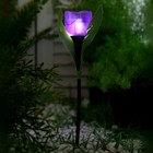 Садовый светильник на солнечной батарее «Тюльпан фиолетовый», 4.5 × 29 × 4.5 см, 1 LED, свечение белое - фото 8954829