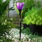 Садовый светильник на солнечной батарее «Тюльпан фиолетовый», 4.5 × 29 × 4.5 см, 1 LED, свечение белое - фото 8954830