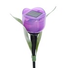 Садовый светильник на солнечной батарее «Тюльпан фиолетовый», 4.5 × 29 × 4.5 см, 1 LED, свечение белое - фото 8954832