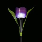 Садовый светильник на солнечной батарее «Тюльпан фиолетовый», 4.5 × 29 × 4.5 см, 1 LED, свечение белое - Фото 7