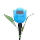 Садовый светильник на солнечной батарее «Тюльпан синий», 4.5 × 29 × 4.5 см, 1 LED, свечение белое - Фото 5