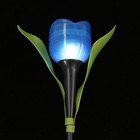 Садовый светильник на солнечной батарее «Тюльпан синий», 4.5 × 29 × 4.5 см, 1 LED, свечение белое - Фото 7
