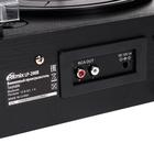 Проигрыватель виниловых дисков Ritmix LP-200B, 10 Вт, 3 скорости, BT, AUX, FM, RCA, черный - фото 9571794