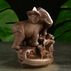 Подставка для благовоний "Слон у водопоя" 21х16х14см, с аромаконусами - фото 4618530