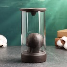 Подставка для благовоний TAKE IT EASY «Череп», набор благовоний конусы, стелющийся дым, 8×16.5 см - Фото 4