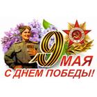 Наклейка на авто "9 Мая (Солдат) ", 375*250 мм 6913639 - фото 9233534