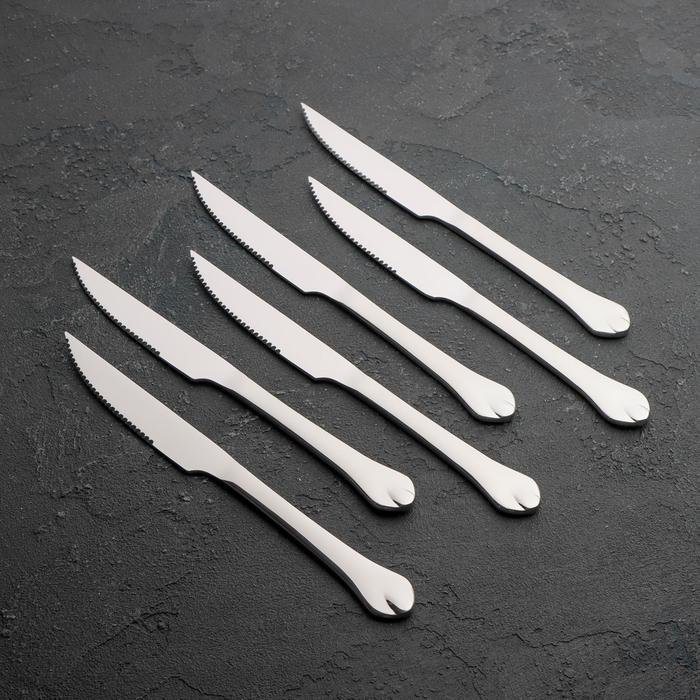 Ножи для мяса из нержавеющей стали Доляна «Капля», длина 22,5 см, 6 шт, цвет серебряный - фото 1908679844