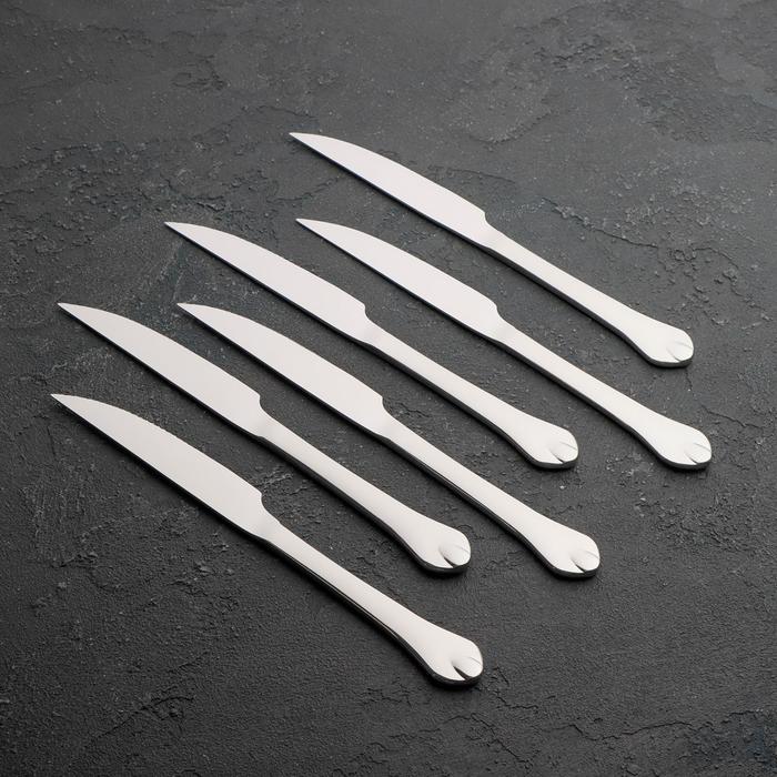 Ножи для мяса из нержавеющей стали Доляна «Капля», длина 22,5 см, 6 шт, цвет серебряный - фото 1908679845