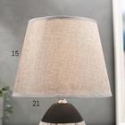 Лампа настольная 16305/1GR E14 40 Вт серый 20×20×31 см - Фото 4