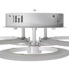 Люстра с ПДУ 59119/4WT LED 80 Вт 3000-6000К диммер белый 60×40×10 см BayerLux - фото 3753398