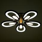 Люстра с ПДУ 59125/5BK LED 90+90Вт 3 режима диммер черный 65х65х14 см - Фото 4